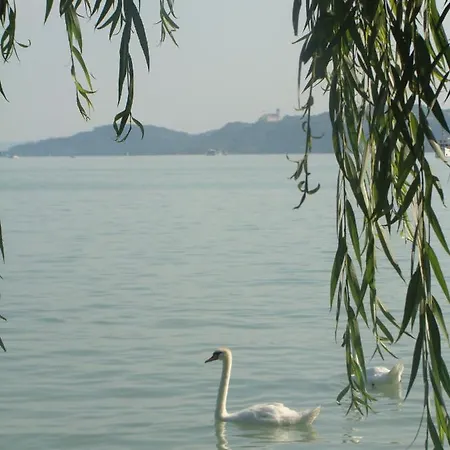 House Fortuna Holiday home Zamardi